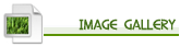 Image Gallery